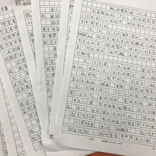 享受校園的樂(lè )趣作文