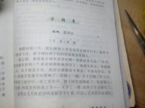 秋天我想起來(lái)了校園作文400字