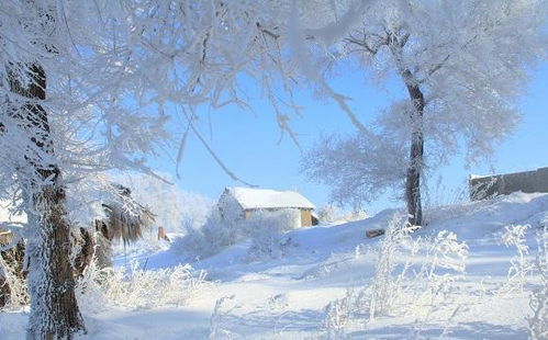 寫(xiě)校園景色冬天的作文二級