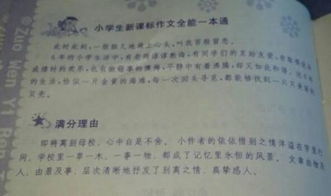 校園的往事作文開(kāi)頭結尾