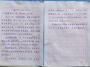 我的校園圖書(shū)館小學(xué)作文