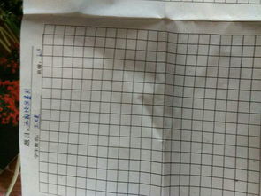 拒絕校園暴力作文200