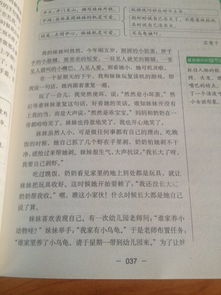 作文,寫(xiě)一篇,校園