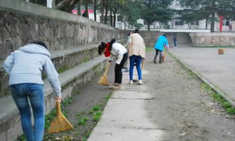 學(xué)校大掃除作文500字(要寫(xiě)校園)