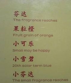 有趣的校園作文200