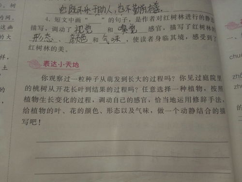 校園的動(dòng)靜結合作文100字