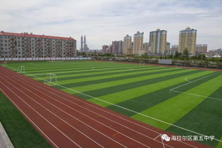 校園的跑道作文400字