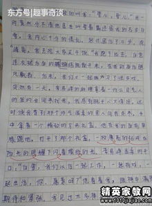 小學(xué)作文校園美景評語(yǔ)