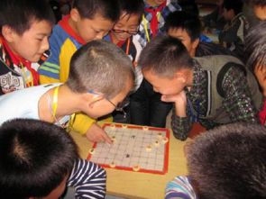 校園生活真精彩初中作文