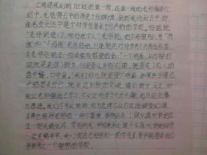 短篇作文新校園新感受