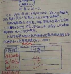 描寫(xiě)放學(xué)后安靜的校園作文300字