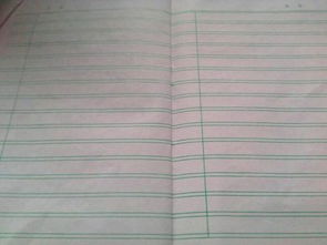 作文用移步換景描寫(xiě)我的校園作文400字