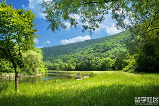 這么一個(gè)新校園作文600字