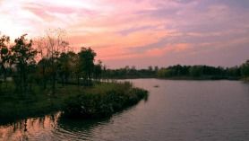 移步換景法寫(xiě)公園美景,用移步換景法寫(xiě)校園100字,用移步換景法寫(xiě)校園200字