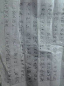 中國校園里的正能量作文1000字