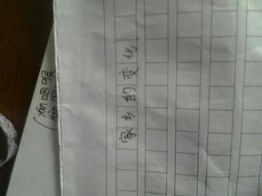 從家園到校園作文500