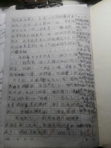 作文,充滿(mǎn),校園