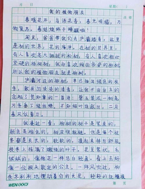 三級校園活動(dòng)優(yōu)秀作文400字左右