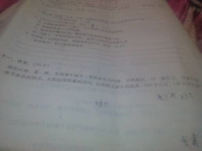 校園的冬天作文怎樣寫(xiě)