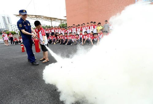 2020消防進(jìn)校園作文