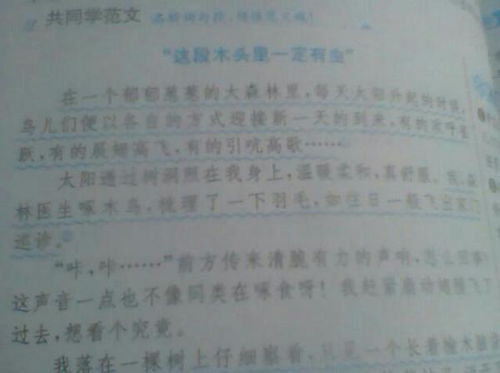 這兒真美寫(xiě)校園作文400字