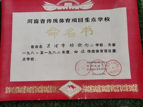 安康,作文,校園文化,學(xué)院