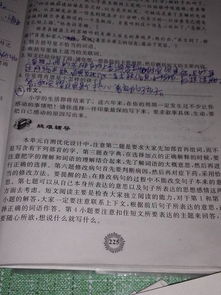 校園感動(dòng)的事400字作文600字