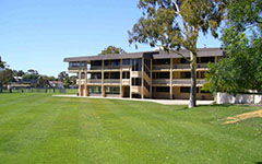 我們的校園作文二百五十字