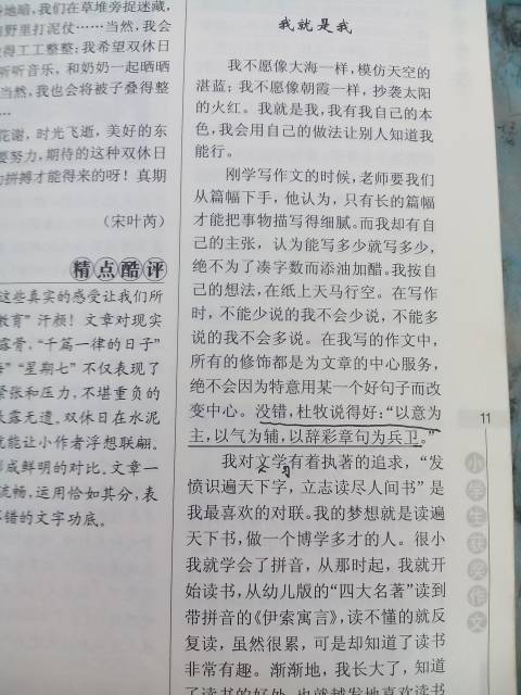 校園中的真情作文500字作文