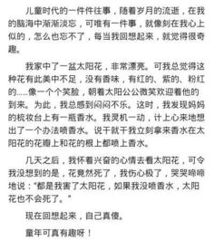 作文,回憶,校園,大全