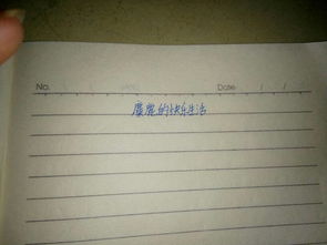 描寫(xiě)校園的生活樂(lè )的作文三百字