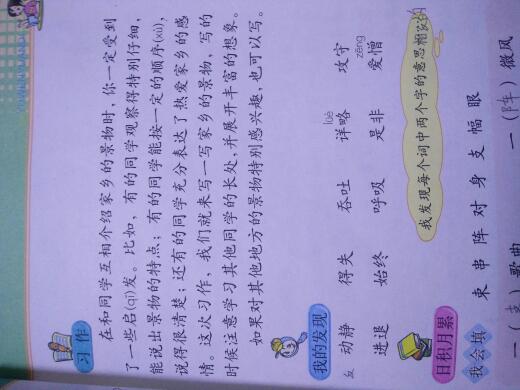 美麗景色校園作文300字三級作文