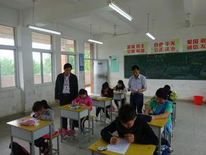 五級的校園欺凌作文