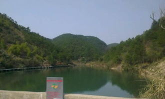 關(guān)于校園后山的作文怎么寫(xiě)