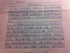 秋天校園同學(xué)作文600字