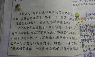 校園中感人的事作文五百字