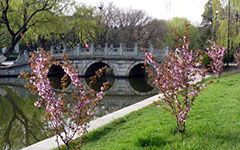 作文,冬天,校園