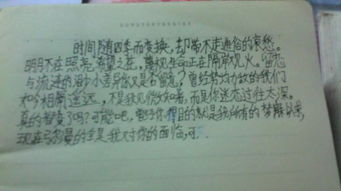 校園給我的友誼作文600字作文開(kāi)頭