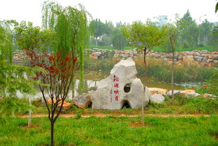 校園新景觀(guān)作文