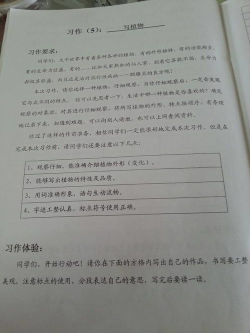 美麗的校園植物400字四級作文