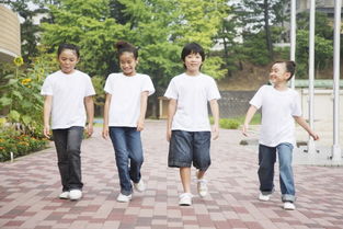 校園生活作文小學(xué)六年級,快樂(lè )的校園生活六年級作文,校園生活作文400字小學(xué)六年級上冊