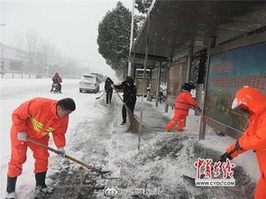 校園里的感動(dòng)作文冬天