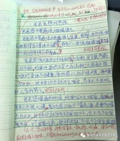 樂(lè )樂(lè )課堂作文校園周記大全