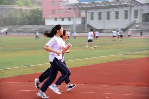 校園的夕陽(yáng)西下寫(xiě)一篇作文