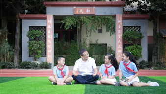 愛(ài)護校園一草一木作文500