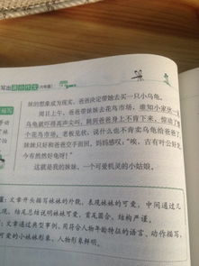 關(guān)于校園里的事作文300字三級