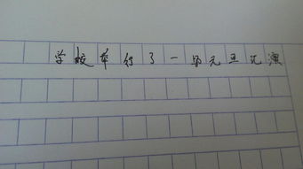 作文,元旦,校園