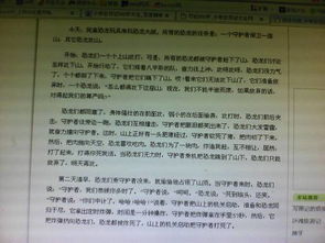 校園即景作文300字五級