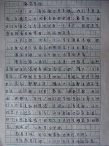 作文,更美好,運動(dòng),校園