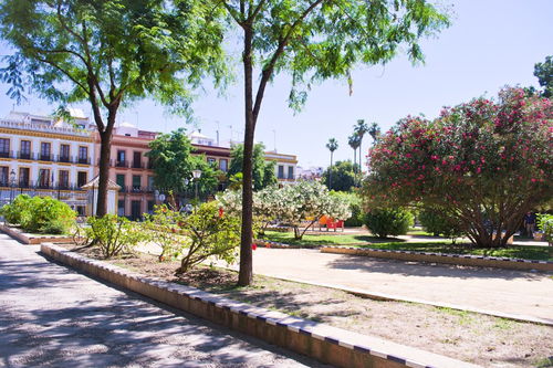 維護校園環(huán)境保護環(huán)境衛生的作文故事